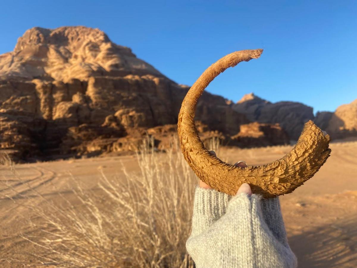 Wadi Rum Albasli Exterior foto